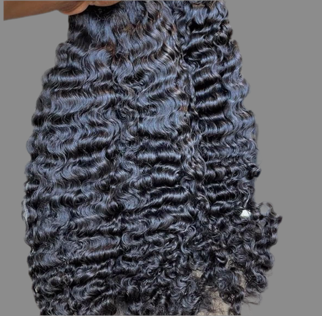 Raw Burmese Curly