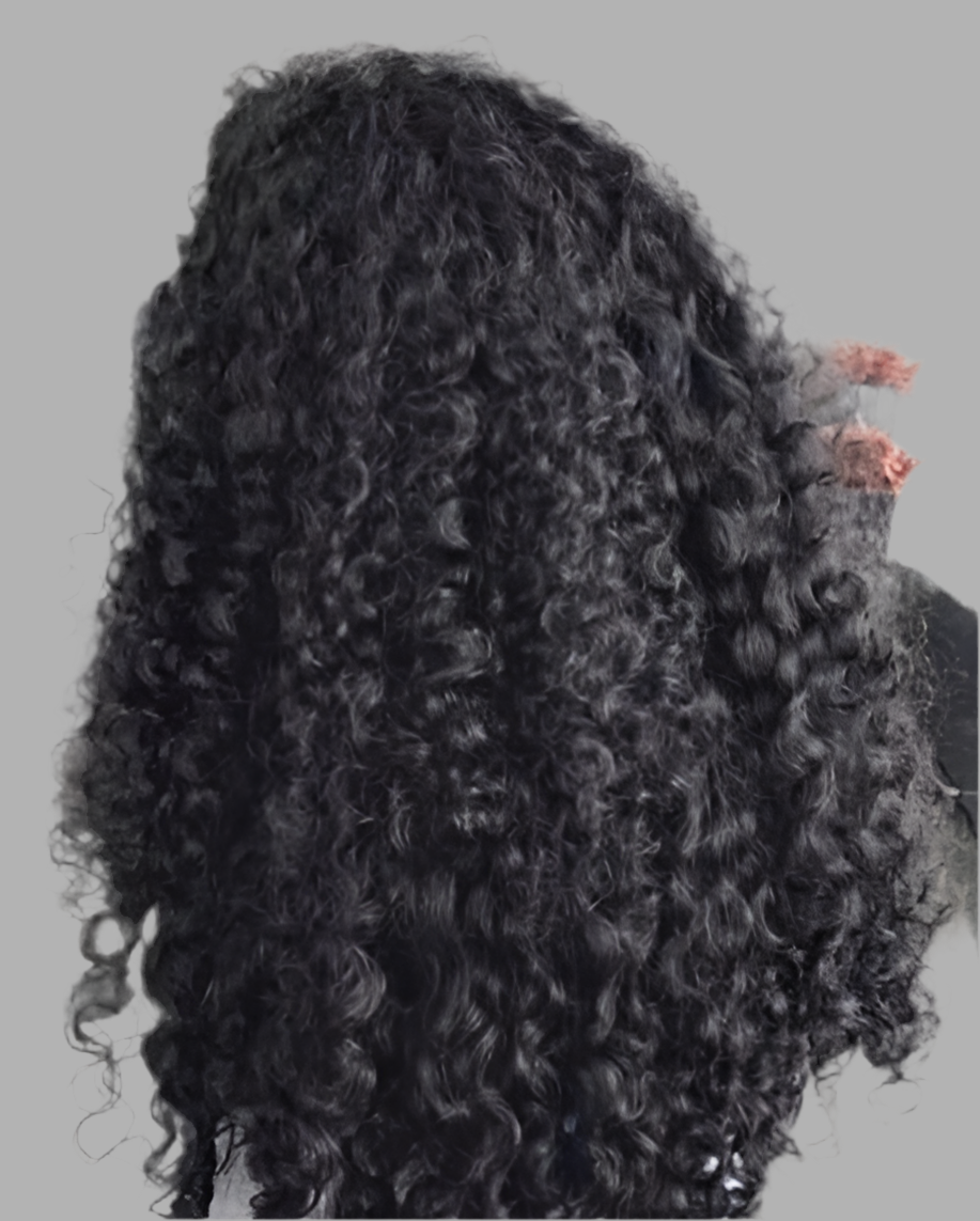 Raw Burmese Curly